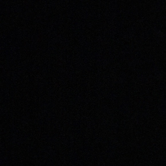 Meet your Posher, Riley - Picture 1 of 1